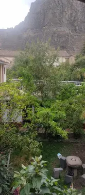 a garden with plants and a mountain in the background at Hospedaje La Ñusta in Ollantaytambo