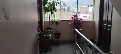 a hallway with potted plants next to a window at depacentrohuancayo in Huancayo