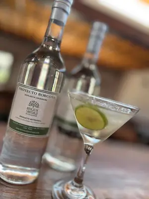 a drink in a martini glass next to a bottle of wine at Refugio de Santiago Ecolodge in Lunahuaná