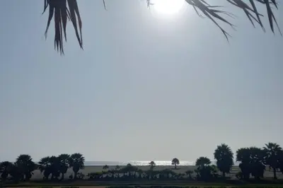 a view of the ocean and palm trees at The Pacific Cottage in Chincha Baja