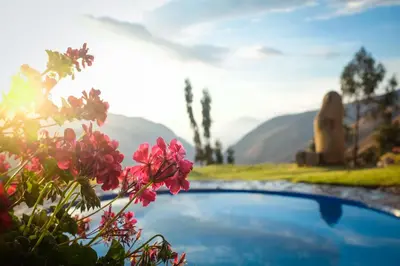 a flower in front of a pool with mountains in the background at Refugio Viñak in Viñak