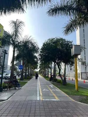 a sidewalk with palm trees and a person sitting on a bench at Bright 1BR close to boulevard in Lima