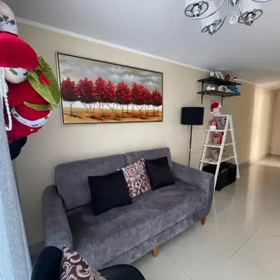 Lindo y Acogedor Departamento en Lima!