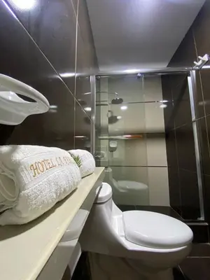 a bathroom with a toilet and a shower at LA FAMILIA NASCA HOUSE in Nazca