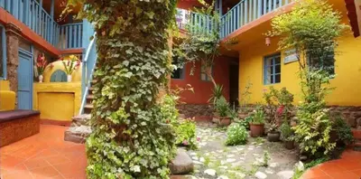 a house with two trees with ivy growing on it at Mirador de la Ñusta in Cusco