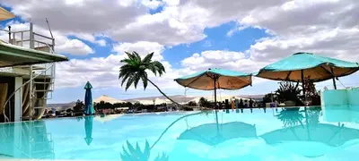a large swimming pool with umbrellas and a palm tree at Ollanta Rooftop Adults only in Ica