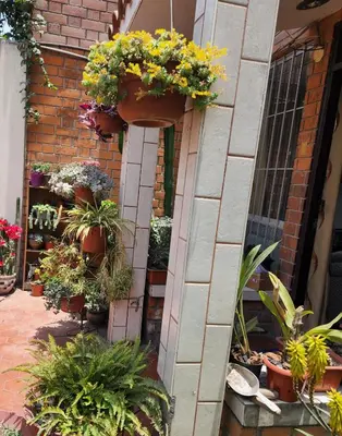 a bunch of potted plants on a brick building at Casita Cultura in Lima