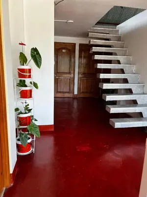 Gallery image of Hospedaje Andrea in Oxapampa
