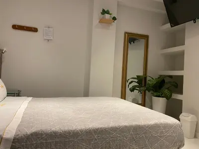a bedroom with a bed and a potted plant at Millennium Hotel Corporative in San Vicente de Cañete