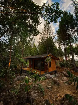 a small cabin in the woods with trees at Oasis Blue Oxapampa in Palmira