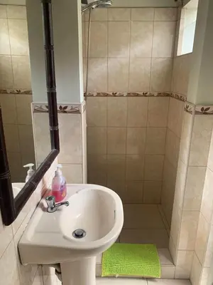 a bathroom with a sink and a shower at Peruvian House - Miraflores in Lima