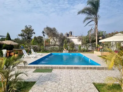 a swimming pool in a yard with a palm tree at URMA 2 in Barranca