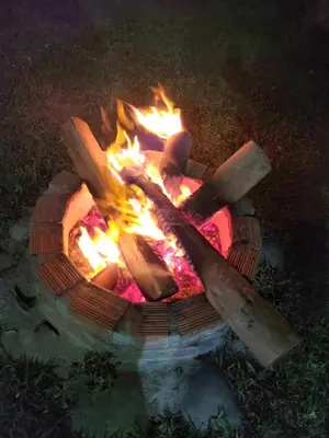 a fire pit with logs and flames in the grass at URMA 2 in Barranca