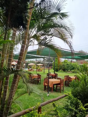 a group of tables and chairs under a green canopy at URMA 2 in Barranca