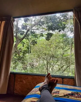 a person laying on a bed looking out a window at Araplay Lodge in Santa Teresa