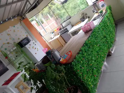 an overhead view of a living room with a green plant at Inca Town In in Cusco