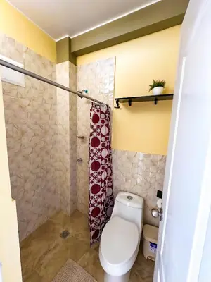 a bathroom with a toilet and a shower curtain at Viñedo Sotelo - Hospedaje y Glamping in San Juan Bautista