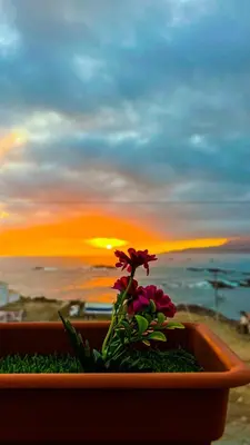 Gallery image of Hotel ALOHA in Chala