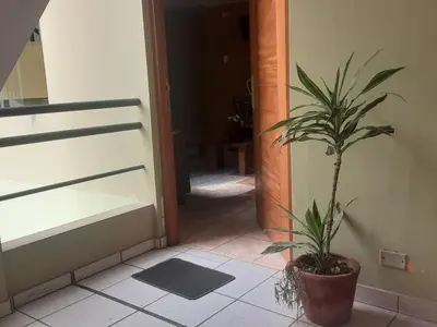 a potted plant sitting on a tile floor in a hallway at ALAVA 245 in Lima