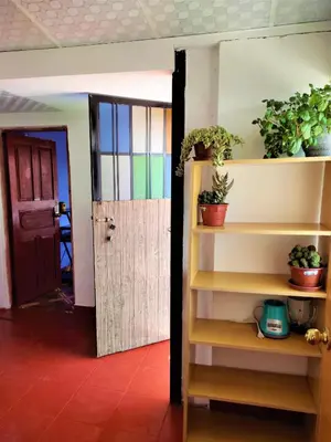 a room with a door and shelves with potted plants at APARTAMENTO VISTA IMPERIAL II Mirador Panoramico in Cusco