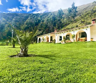 a house with a palm tree in a field at Fundo Alma Andina in Jauja