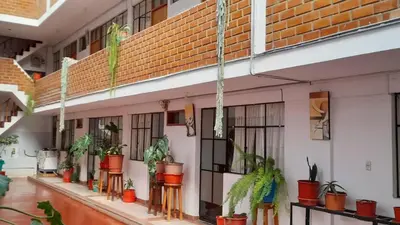 a row of plants on the side of a building at HOSPEDAJE D`NOA En el centro de Oxapampa in Oxapampa