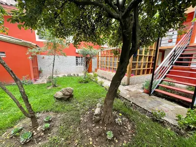 a tree in a yard next to a red building at Anka Wasi Lodging in Cusco