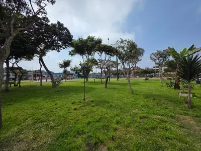 a park with green grass and trees in it at Sabina aeropuerto hostel in Lima