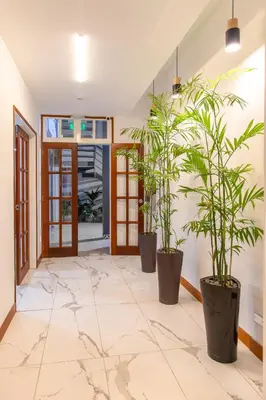 a hallway with three potted plants at Hotel San Blas in Lima