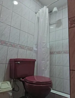a bathroom with a toilet and a shower at Hostel Tupac Yupanqui House in Cusco