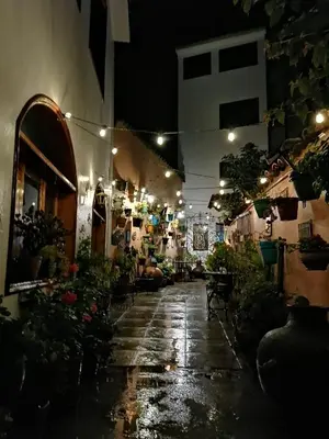 an alley with potted plants and lights at night at Hotel Sevilla in Ayacucho