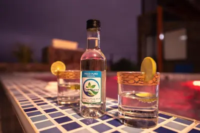a bottle of alcohol and two glasses on a table at Mar y campo Casa Huarca in La Isla