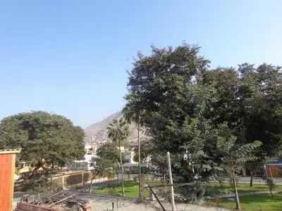 a group of trees with a mountain in the background at Agua dulce in Lima