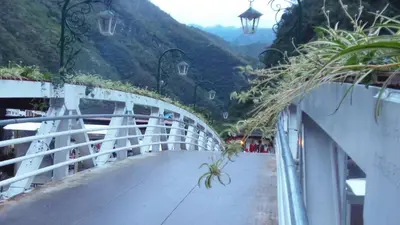 a bridge with plants on the side of a mountain at Hostal Pablo's House in Machu Picchu