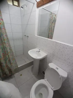 a bathroom with a toilet and a sink at Hospedaje Pinky Lodge in Oxapampa