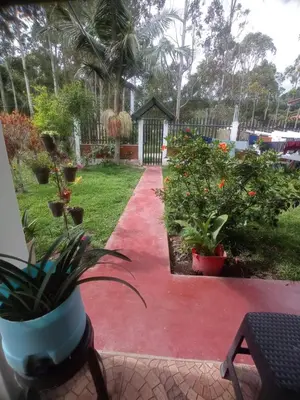 a garden with potted plants and a walkway at Hospedaje Pinky Lodge in Oxapampa