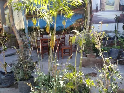 a patio with a table and some plants at Departamento 5p Tierra del Sol Eterno - Ica centro in Ica