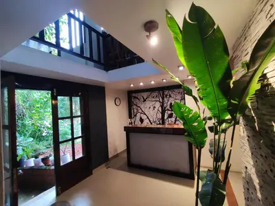 a living room with a fireplace and a plant at NaturaLodge Machu Picchu in Machu Picchu