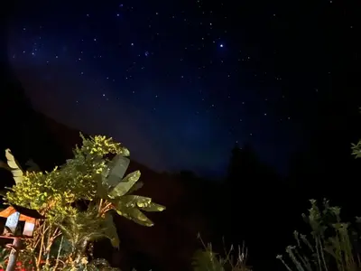 a starry night with a tree in the foreground at Lucmabamba Lodge in Santa Teresa