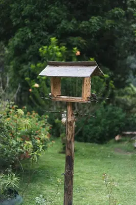 a bird house on top of a wooden pole at Lucmabamba Lodge in Santa Teresa