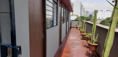 a row of potted plants on a balcony at Hospedaje Miraflores 17 in Lima