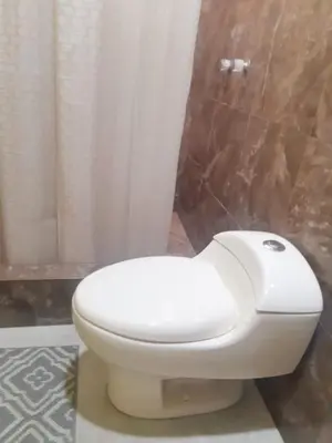 a white toilet in a bathroom with a shower at Casa - Hospedaje Munay Ki - Yoga - in Pisco