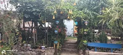 a garden with a blue bench and some plants at Casa Corazao in Urubamba