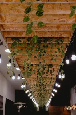 a bunch of plants hanging from a ceiling with lights at PRANA in Huancayo