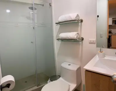 a bathroom with a shower and a toilet and a sink at Mousse PL in Lima