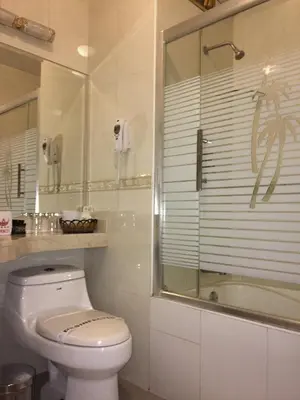 a bathroom with a toilet and a shower and a phone at Hotel Princesa in Lima