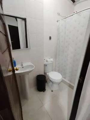a bathroom with a toilet and a sink and a shower at CASA DE MELISSA in Ollantaytambo