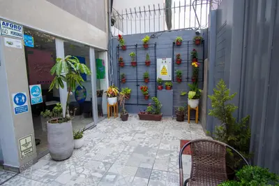 a building with potted plants on a wall at Magdalen House in Lima