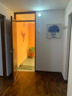 an open door into a hallway with a plant at Lindo depa san miguel, 3camas, wifi, terraza. in Lima