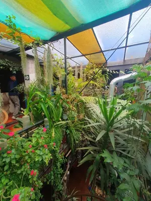 a greenhouse filled with lots of plants and flowers at Royal Frankenstein Hostel in Cusco
